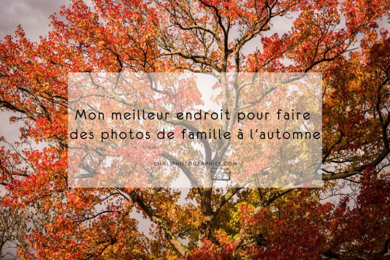 Mon meilleur endroit pour faire des photos de famille à l&rsquo;automne
