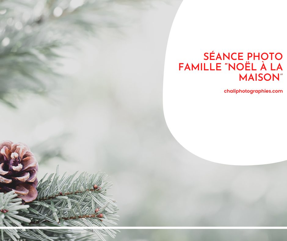 Séance photo famille “Noël à la maison”