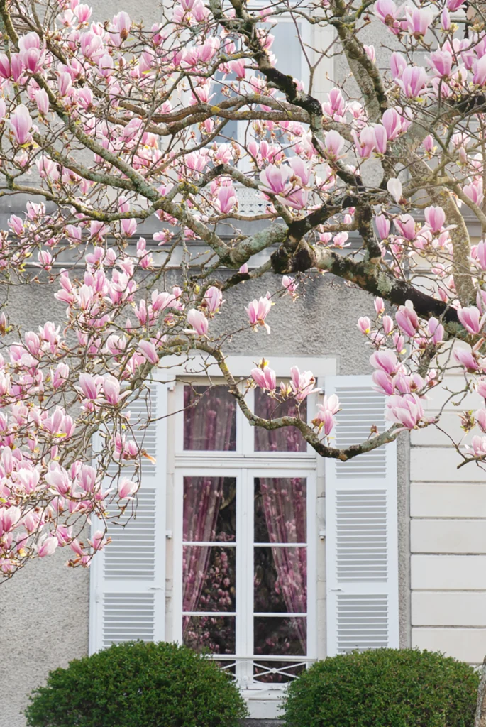 photo immobilière pau bizanos